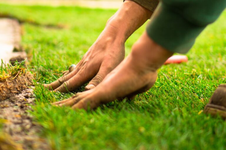 moisture control - soil and grading